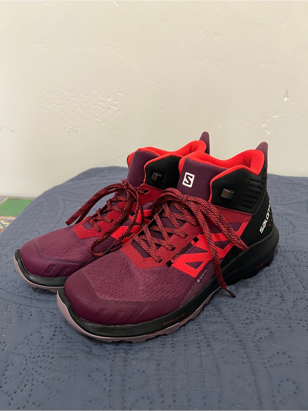 Salomon High-Top Hiking Shoes